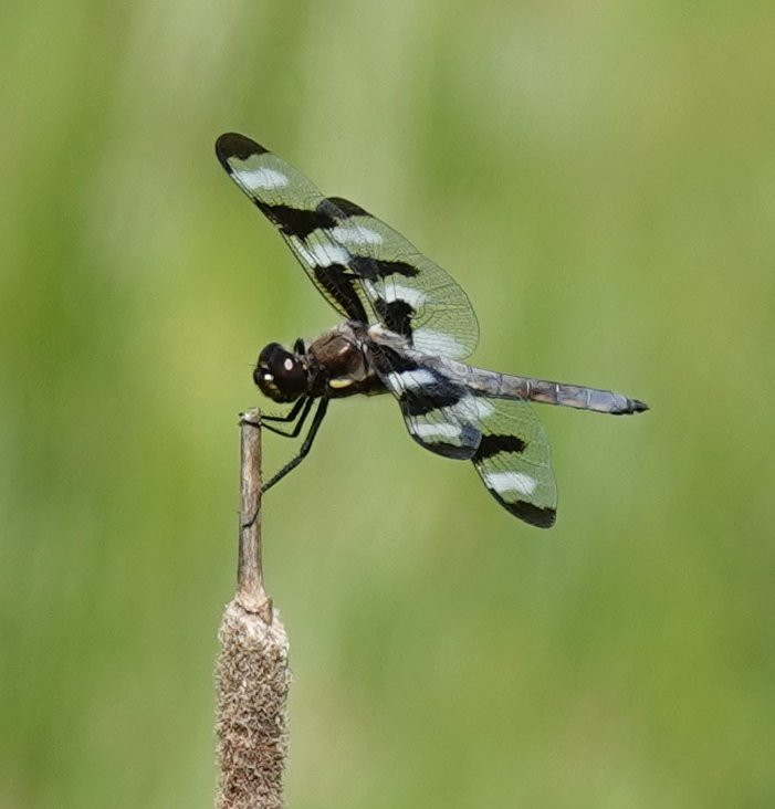 Three Rivers Wildlife Management Area-Baldwinsville必去景点