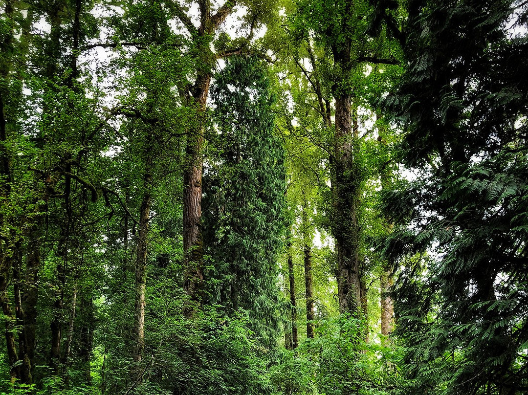 Derby Reach Regional Park-Walnut Grove必去景点