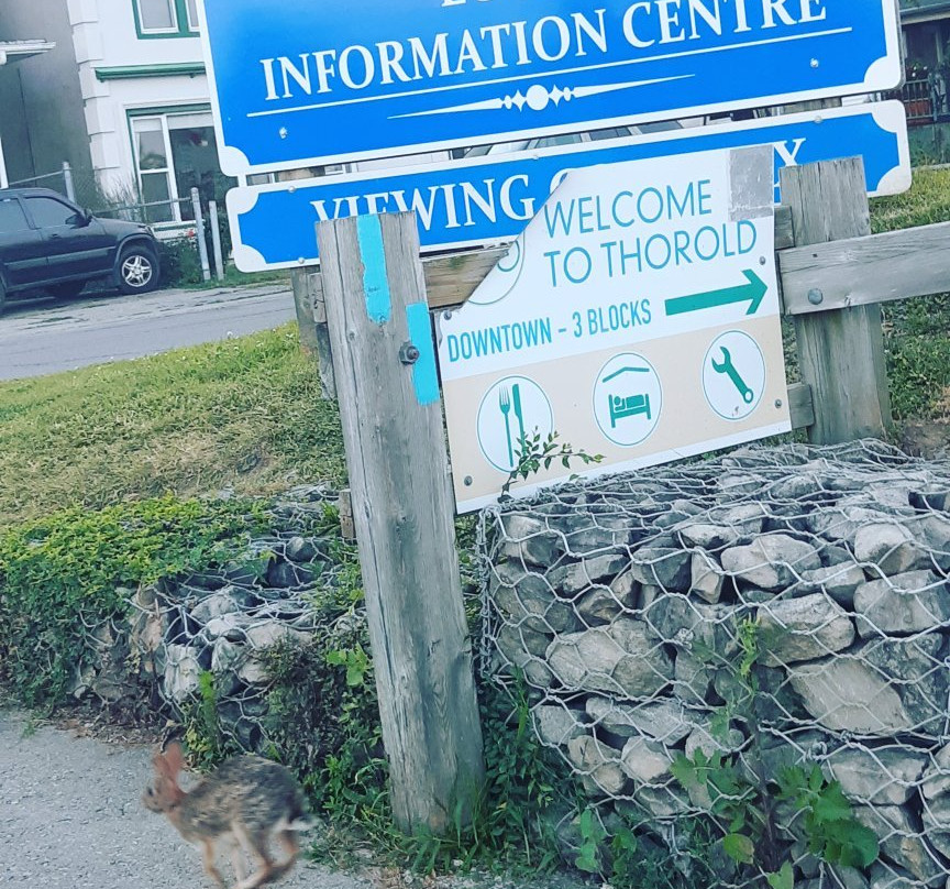 Lock 7 Viewing Complex-Thorold必去景点