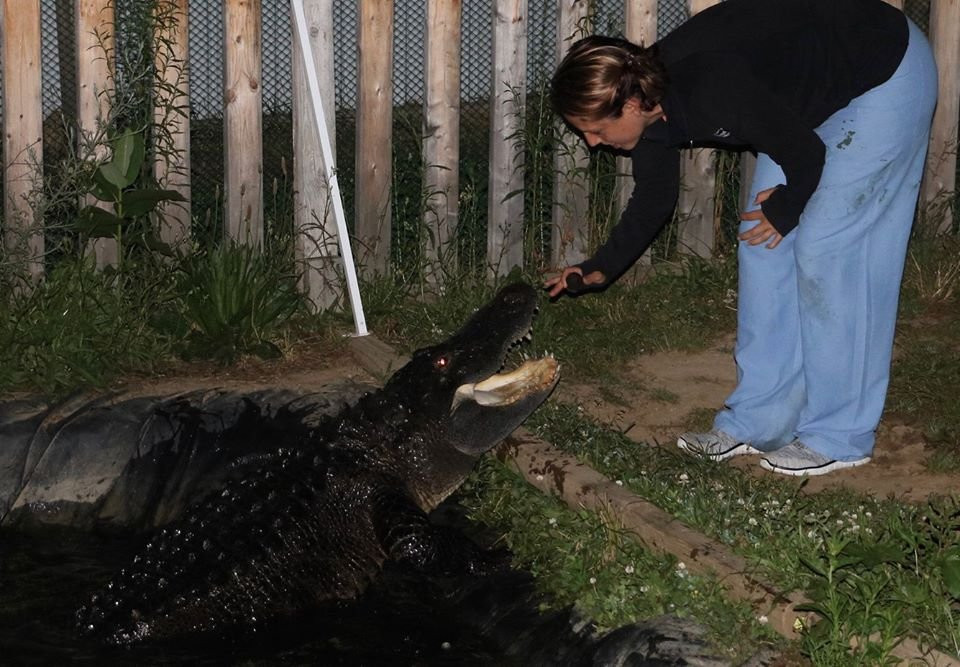Critchlow Alligator Sanctuary景点图片