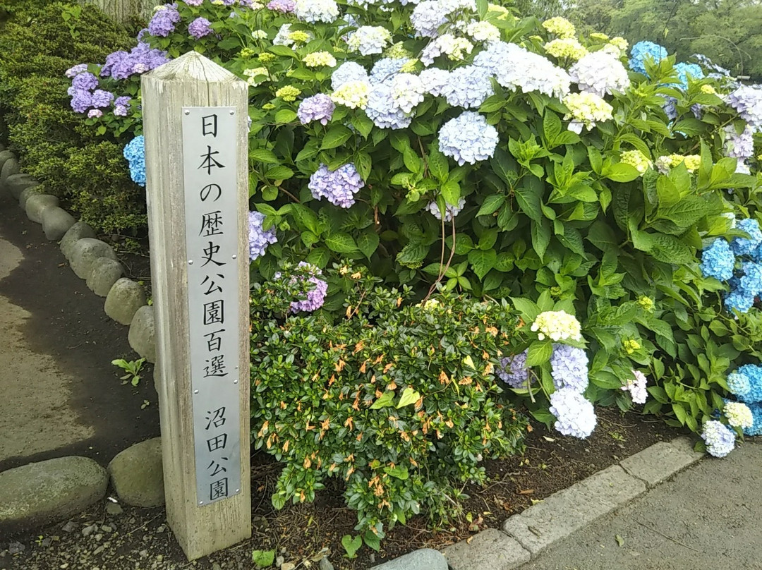Numatajo Ato Koen景点图片