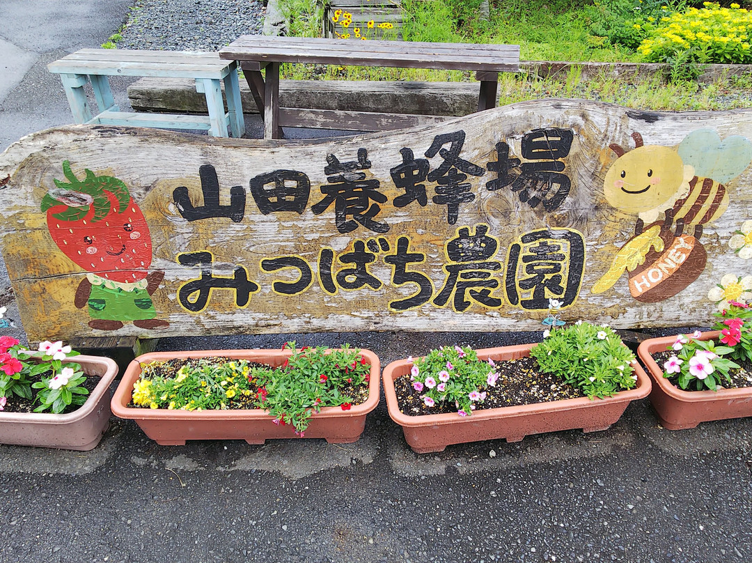 Mitsubachi Nouen (Yamada Honeybee Farm)-镜野町必去景点