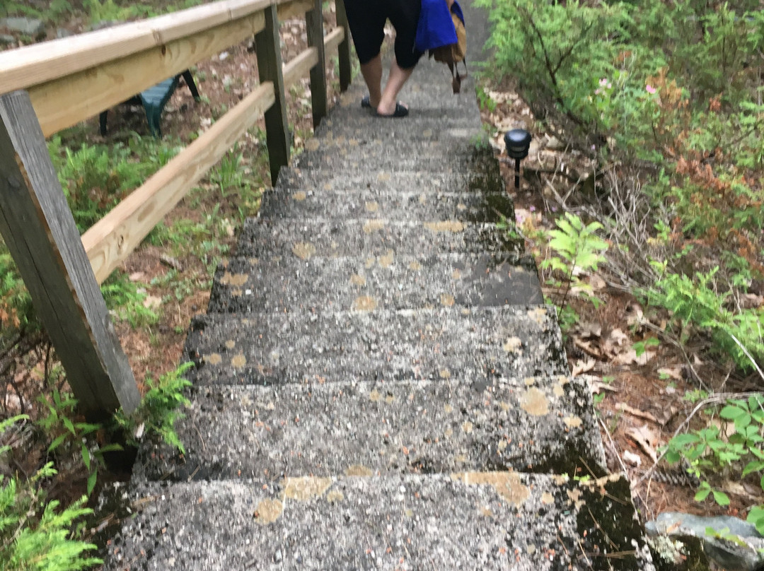 The Lodges At Bolton Landing主图