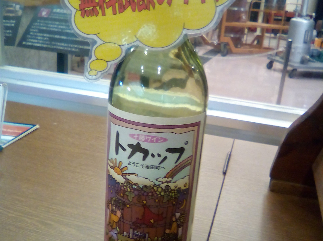 Ikeda Wine Castle-池田町必去景点