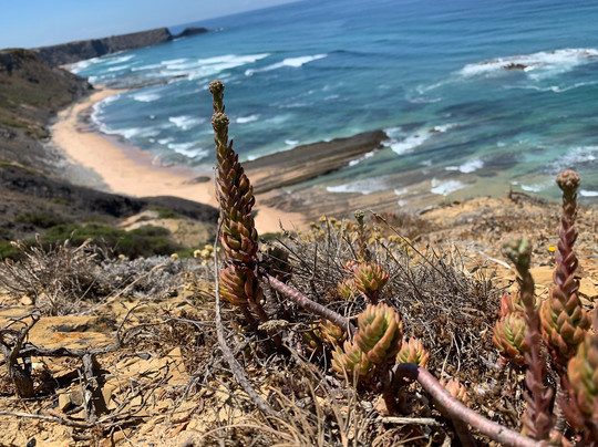 Quinta Pero Vicente主图