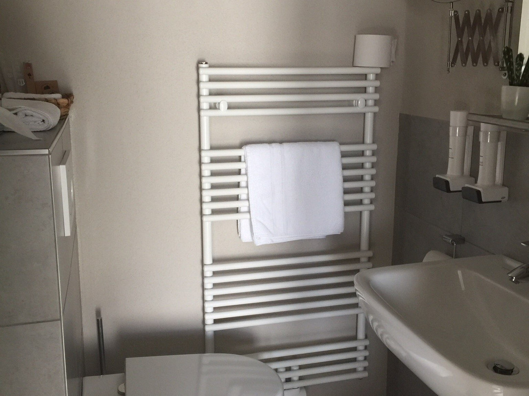 Hotel Restaurant Brigitte主图