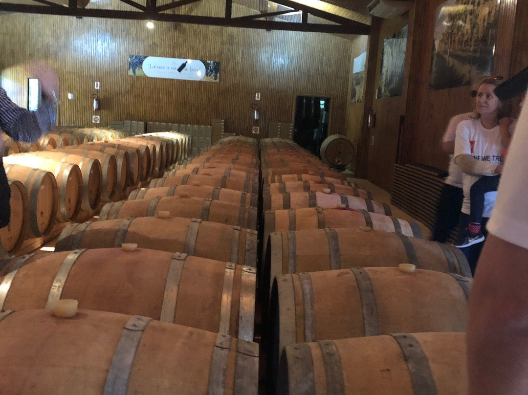 Vinicola Villaggio Grando-Agua Doce必去景点