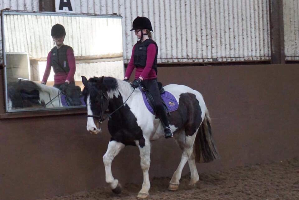 Murton Equestrian Centre-纽卡斯尔必去景点