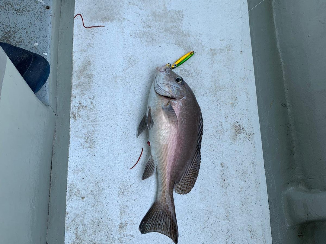 Hua Hin Game Fishing - Private Day Fishing Trips-华欣必去景点