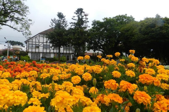 Gravinhedos Turismo Personalizado-格拉玛多必去景点