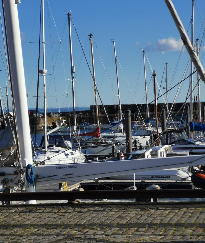 Anstruther Harbour景点图片