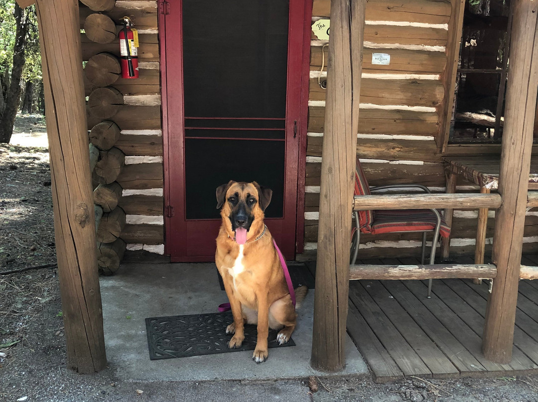 Yuba River Inn