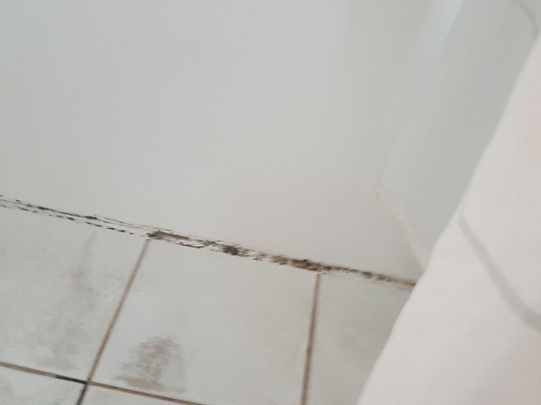 Takapuna International Motor Lodge主图