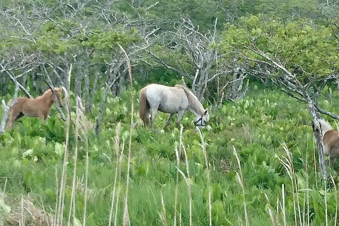 Ochiishi Seaside Way Hamamatsu Path-根室市必去景点