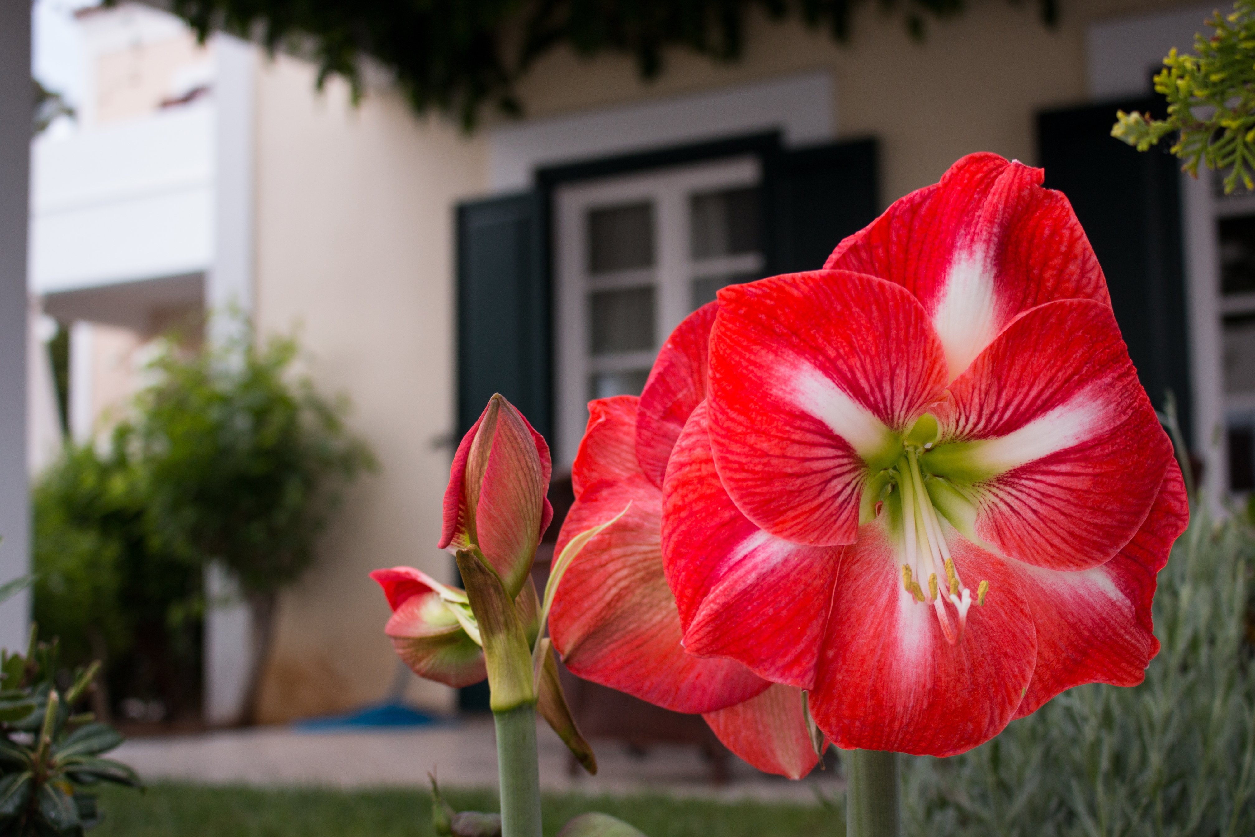 尼西亚酒店-浴室