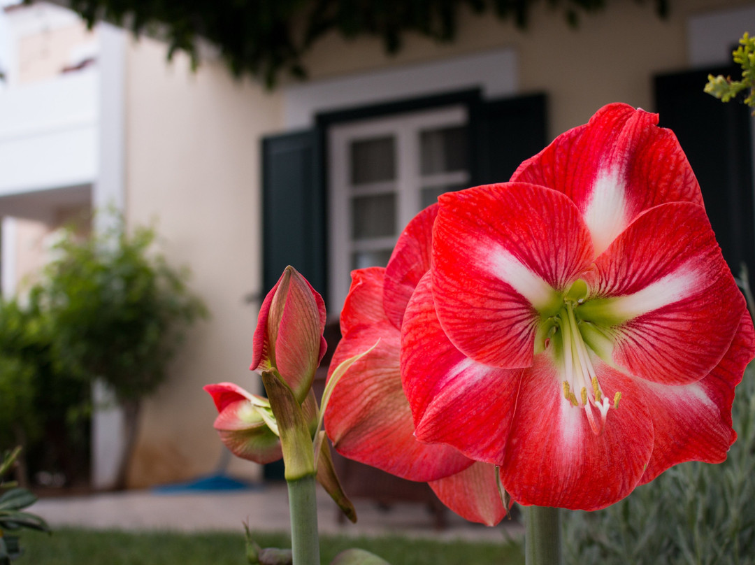 尼西亚酒店主图