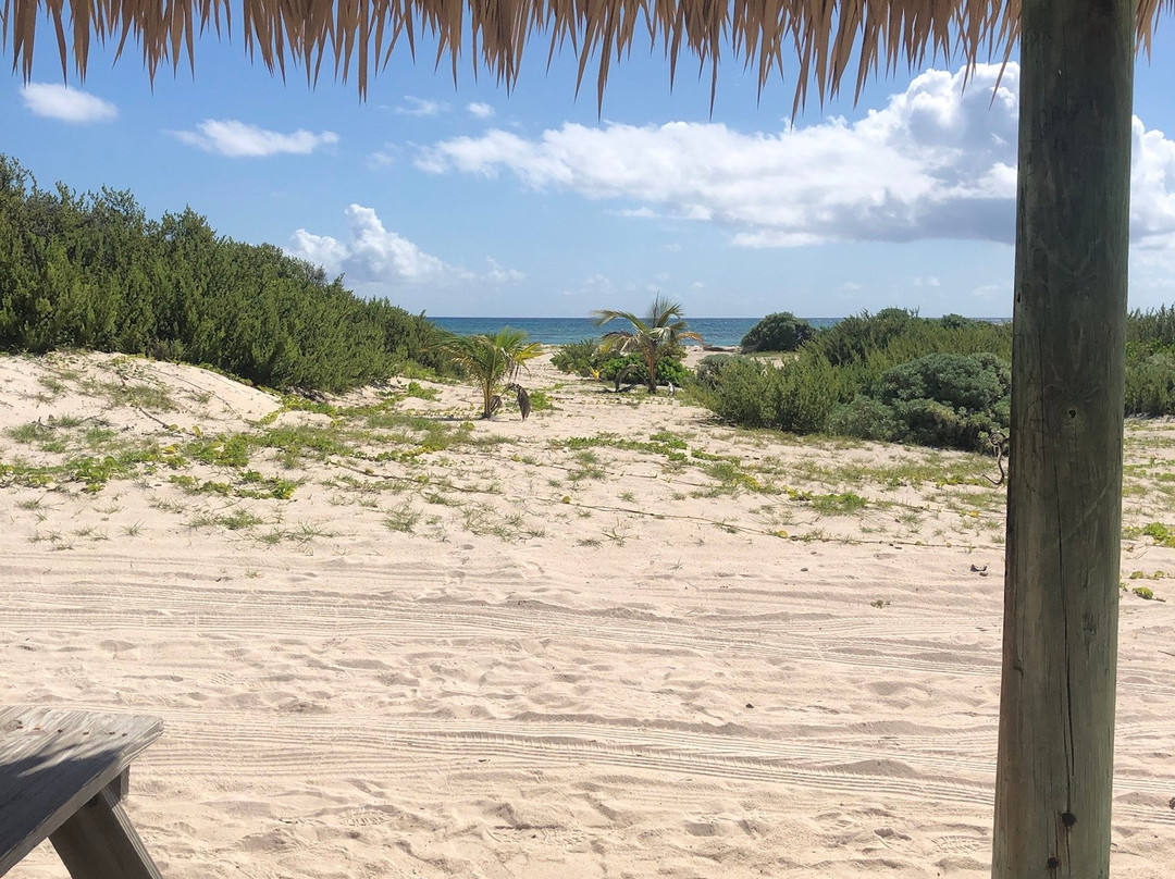 Southern Cross Club主图