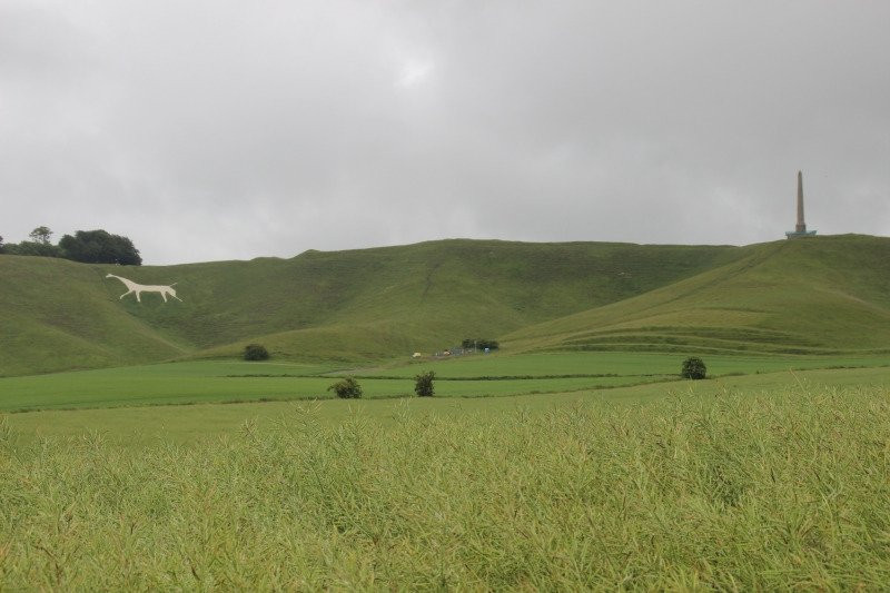 Cherhill White Horse and Monument景点图片