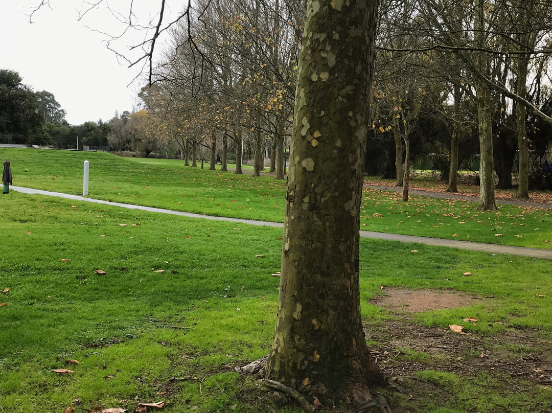 The Linear Park Arts Discovery Trail景点图片