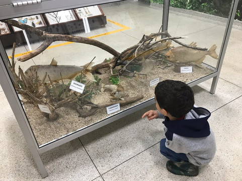 Museu Histórico de Itapira-Itapira必去景点