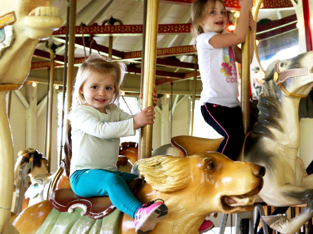 Recreation Park Carousel景点图片