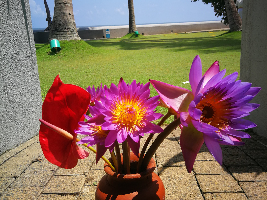 阿育吠陀百利宫酒店主图