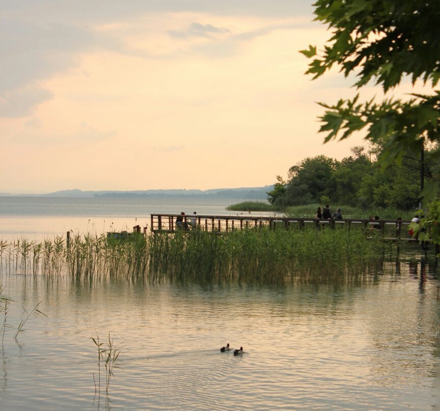 Sakarya Gölpark-Sakarya必去景点