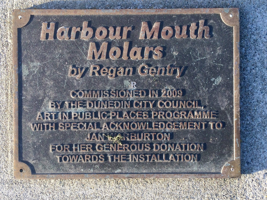 Harbour Molars-但尼丁必去景点