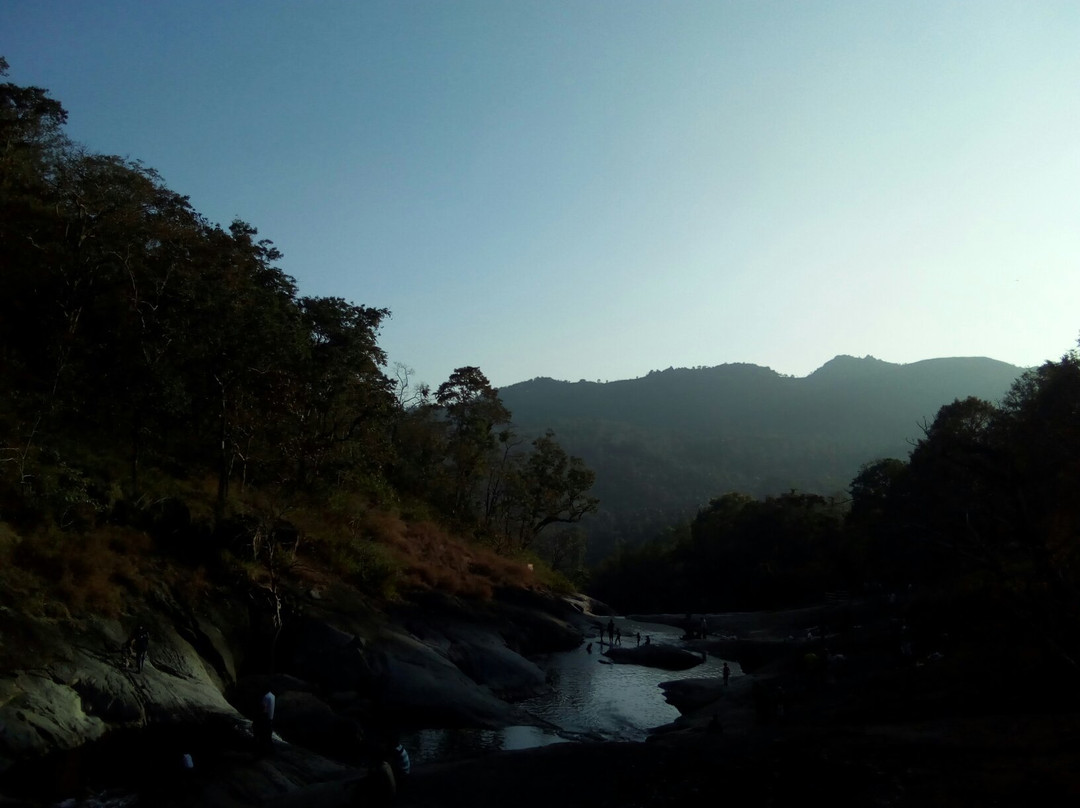 Kozhippara Falls景点图片