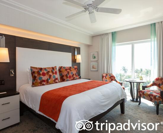 棕榈树Spa酒店主图