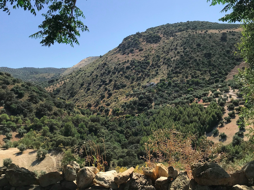 Caseria De San José主图