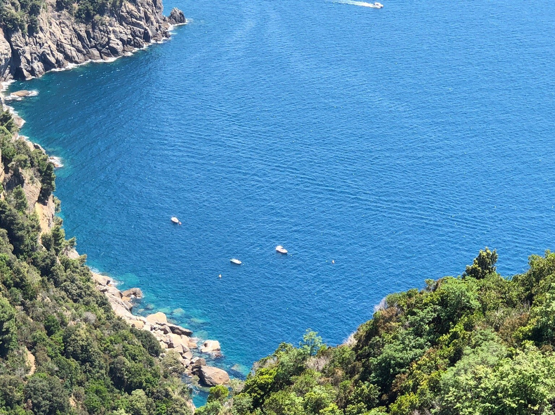 波托菲诺地区公园景点图片