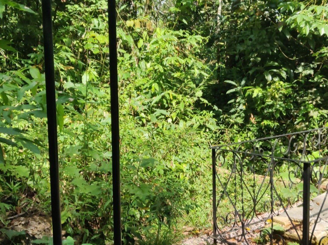 Cemitério da Candelária-Porto Velho必去景点