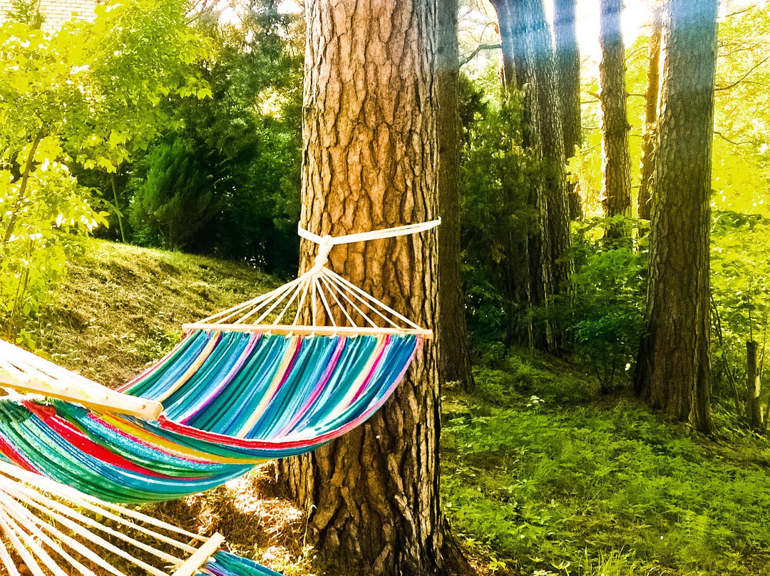 Medea Apartments by Upa主图