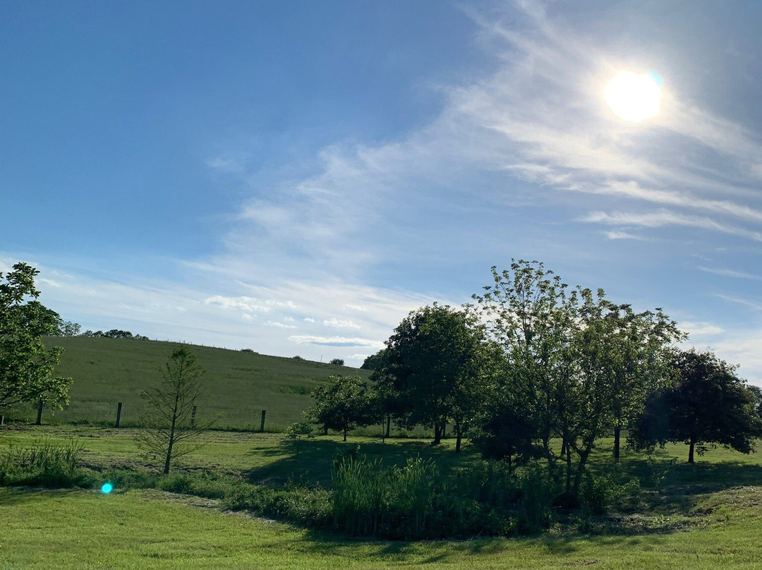 Fairfield Farm Cottage主图