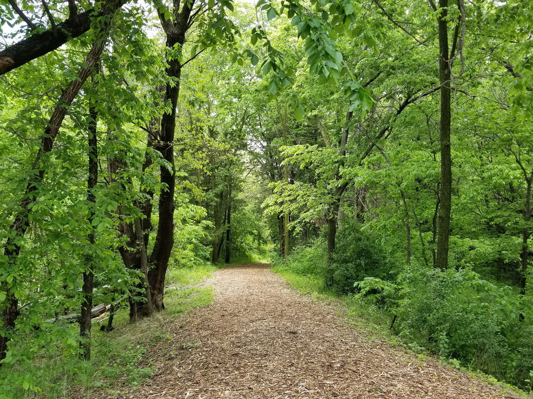 Hall County Park景点图片