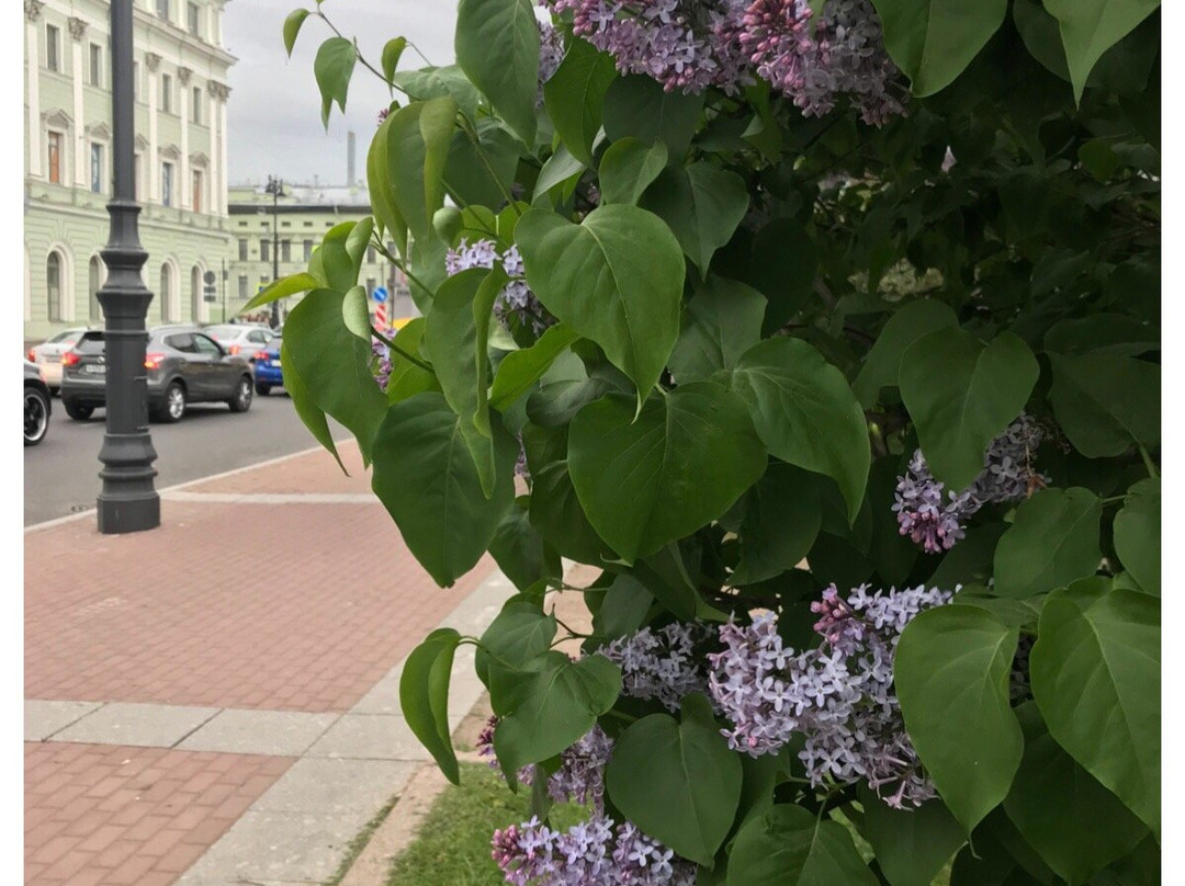 GrandPetersburg-圣彼得堡必去景点