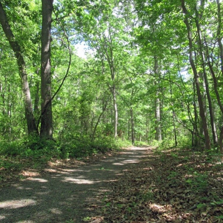 Target Rock National Wildlife Refuge-亨廷顿必去景点