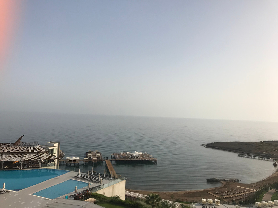 Elexus Hotel & Resort & Spa主图