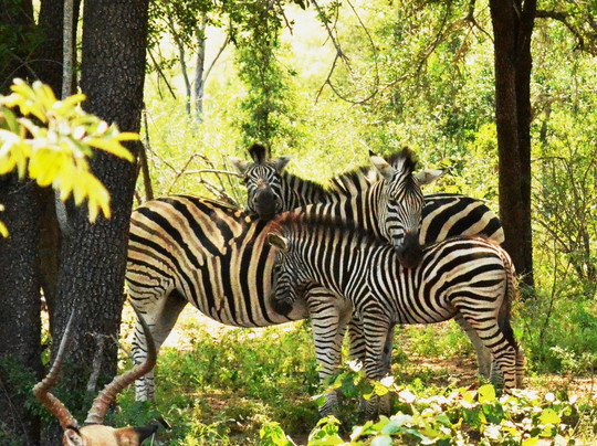 EXPLOREK2K SAFARIS AND TRANSFERS-雾观必去景点