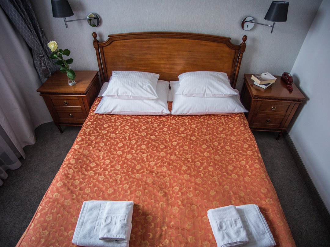 Pod Zlota Roza Boutique Hotel主图