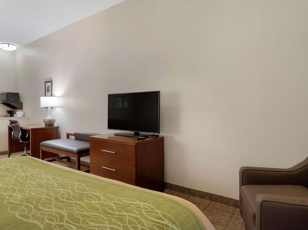 Comfort Inn & Suites Port Arthur - Port Neches主图