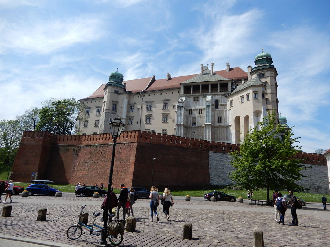 Monument of the Wawel Dragon景点图片