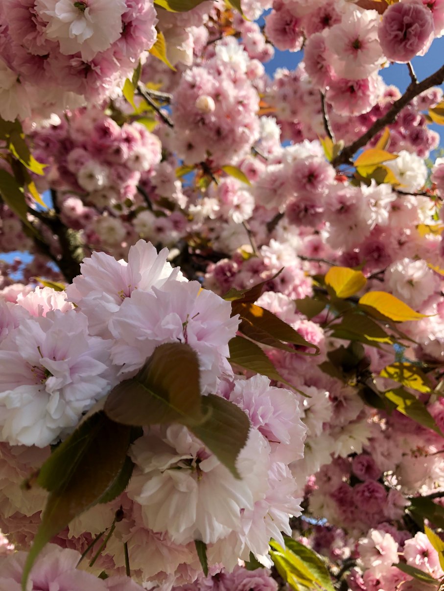 尤金拉昆塔温德姆套房酒店-portrait