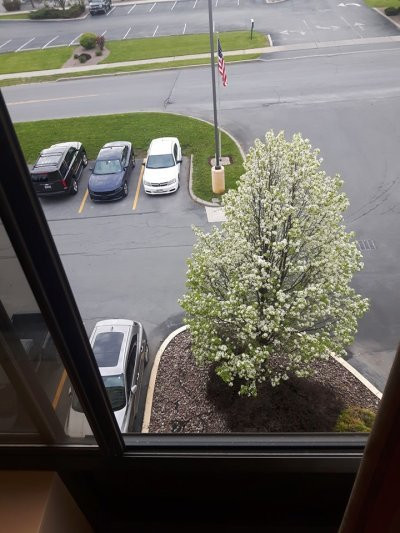 Comfort Inn & Suites Watertown 1000 Islands主图