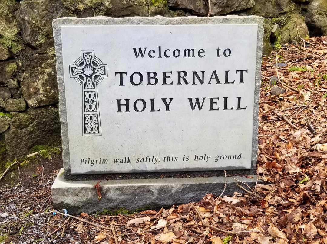 Tobernalt Holy Well景点图片
