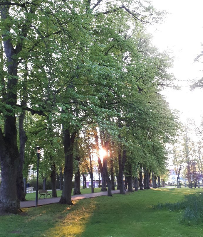 Kurpark Reinhardshausen-Bad Wildungen必去景点