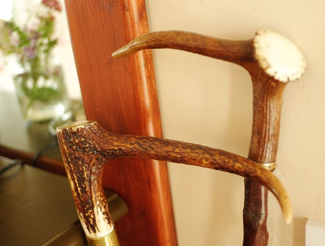 Blue Horizons B&B主图