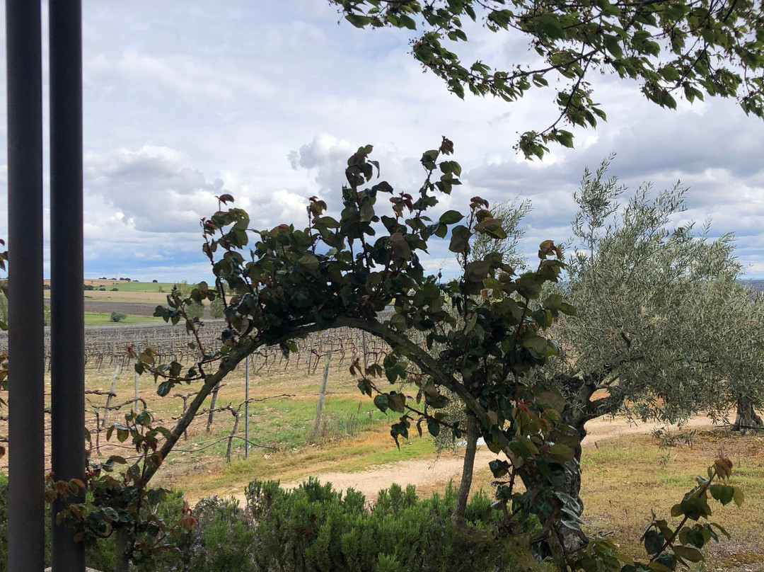 佐里塔庄园自然保护区酒店主图