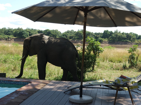 夫拉特多格斯露营旅馆主图